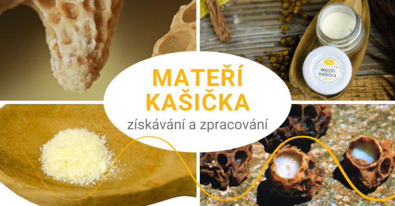 Získávání a zpracování mateří kašičky