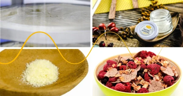 Lyophilization Allows Preservation of Valuable Properties of Royal Jelly