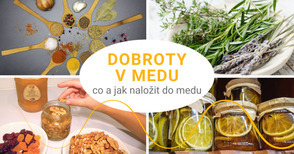 Co naložit do medu?