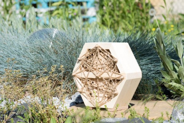 Insect hotel for wild bees - hexagon