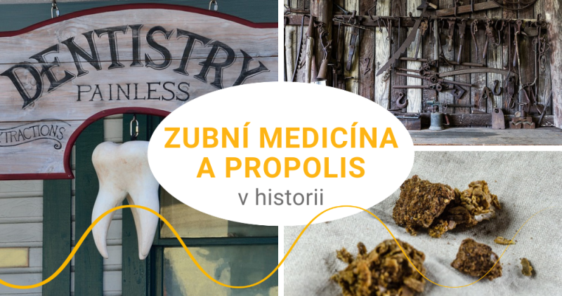 Z historie zubní medicíny aneb jak je to s tím propolisem