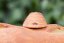 Ceramic decoration for house and garden - bee hive - Beehive size: big - Durchmesser 7 cm, Höhe 4 cm