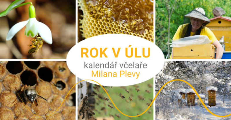 Kalendář včelaře Milana Plevy - rok v úlu