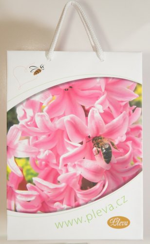 Die Papiertasche Pleva - 19x27 cm