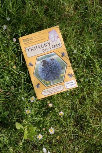 Osivo květnatá louka pro včelky - Hmotnost: 10 g
