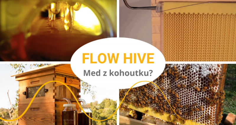 Moderní včelí úl Flow Hive stáčí med z kohoutku