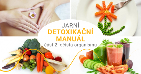 Jarní detoxikační manuál - očista organismu