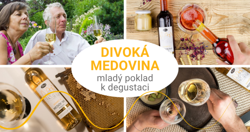 Divoká medovina – mladý poklad ideální k degustaci
