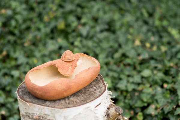 Keramiktränke mit flachem Zugang für Insekten und Vögel - Trinker: mit kleinem Bienenstock