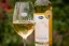 Saftiger Honigwein mit Pfirsich 0,5l - limitierte Serie