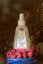 Hair lotion with royal jelly and raspberry enzyme
