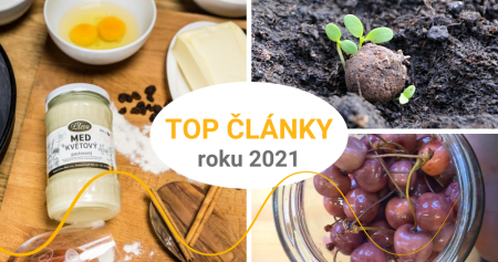 Nejčtenější články roku 2021