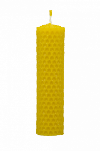 Svíčka ze včelího vosku Pleva, šíře 30mm výška 100mm