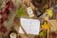 Blumenhonig 500 g