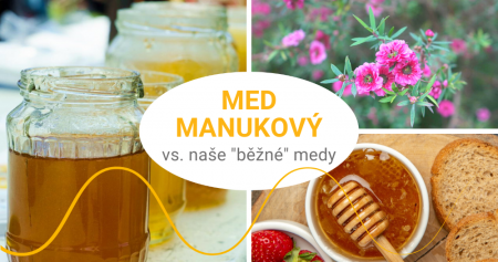Manukový med - je svými účinky srovnatelný s našimi lokálními medy?
