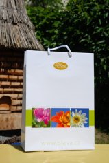 Die Papiertasche Pleva - 25x34,5 cm