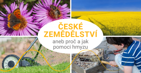 Situace českého zemědělství, aneb proč a jak pomoci hmyzu a přírodě