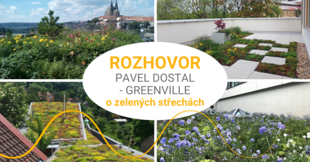 Rozhovor – Pavel Dostal: Co jsou to zelené střechy a jak pomáhají přírodě?