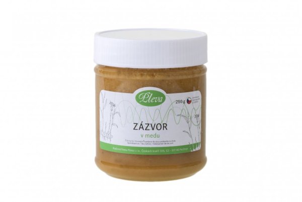 Zázvor lékařský v medu