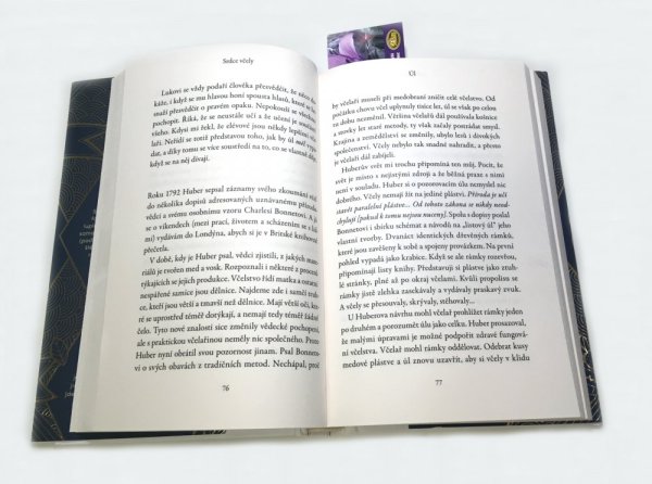 Kniha Srdce včely má pět komor, Helen Jukes