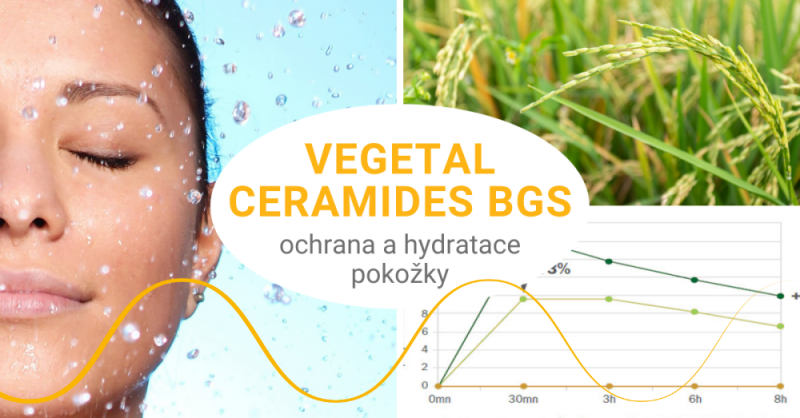 Ochrana a hydratace pokožky: Vegetal Ceramides BGS