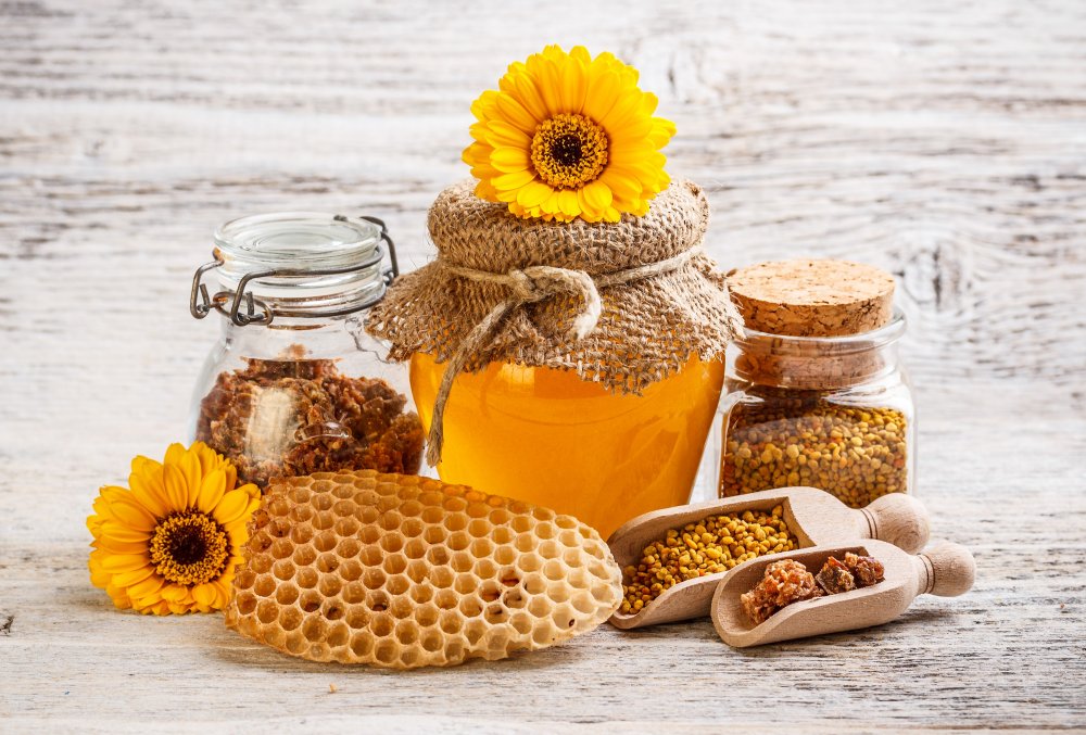 apiterapie léčení včelími produkty