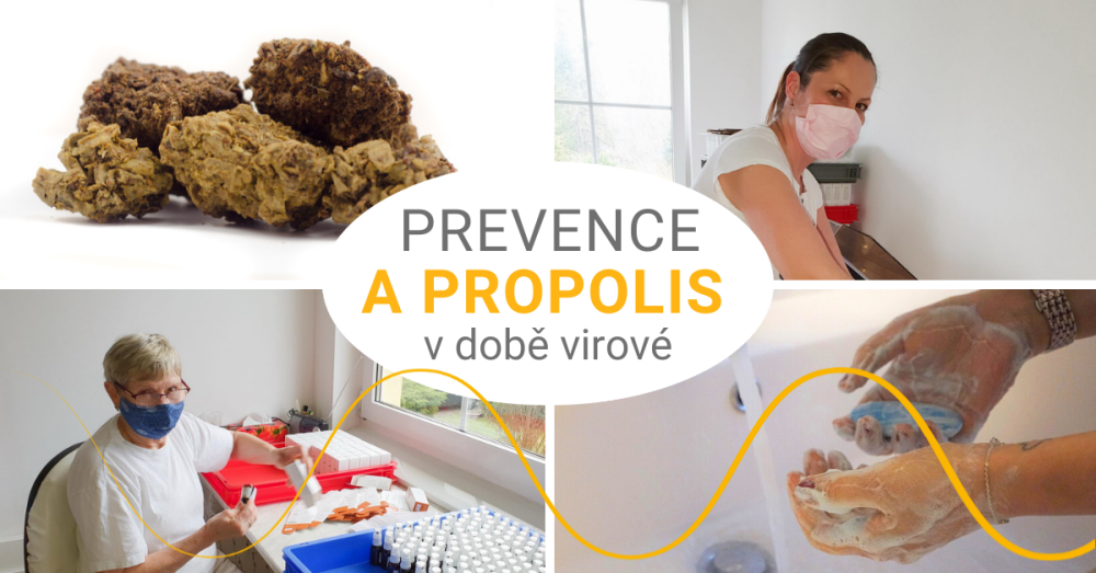 Prevence a propolis v době virové