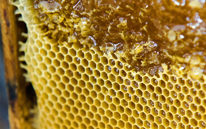 poctivý přírodní med, vytáčení medu