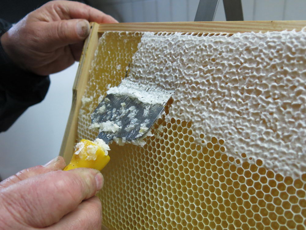 Odvíčkování medové plástve