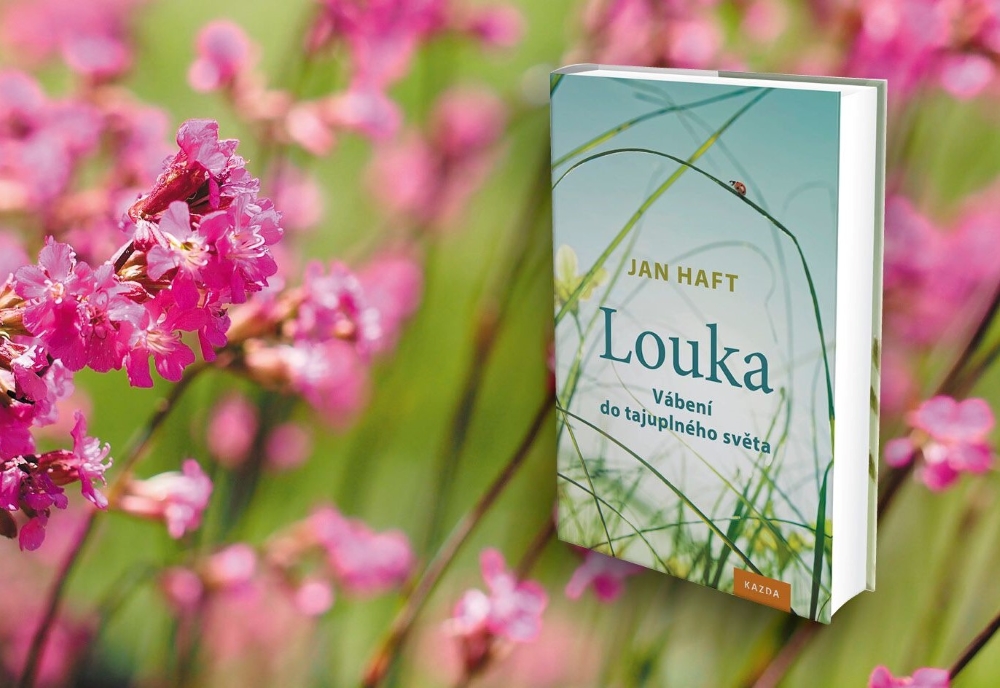 Kniha Louka, Jan Haft
