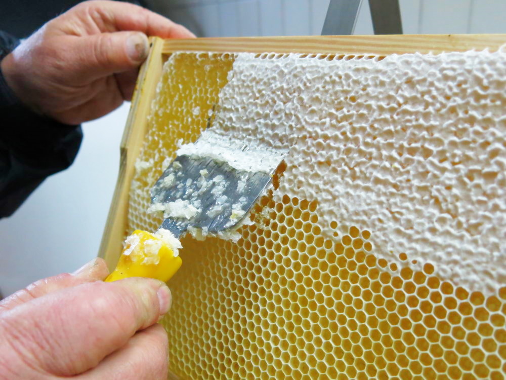 odvíčkování medového plástu
