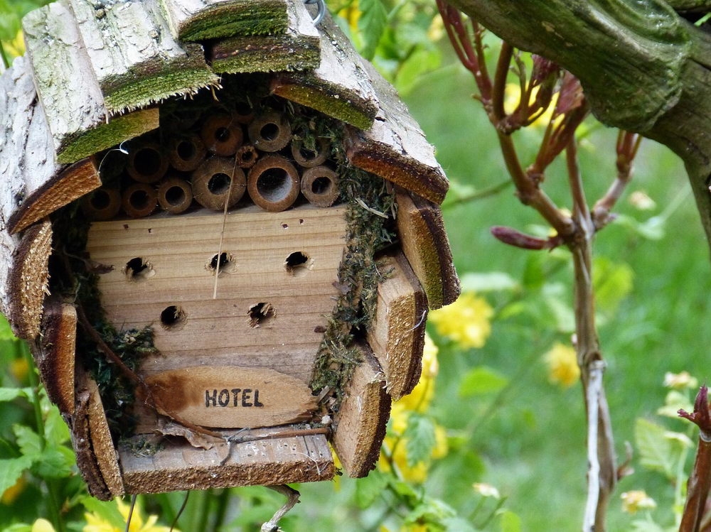 hmyzí hotel, hotel pro hmyz