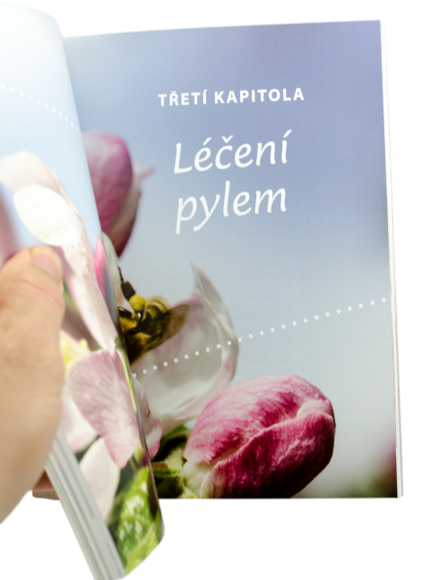 Kniha Léčení včelími produkty, Ing. Štefan Demeter, CSc.