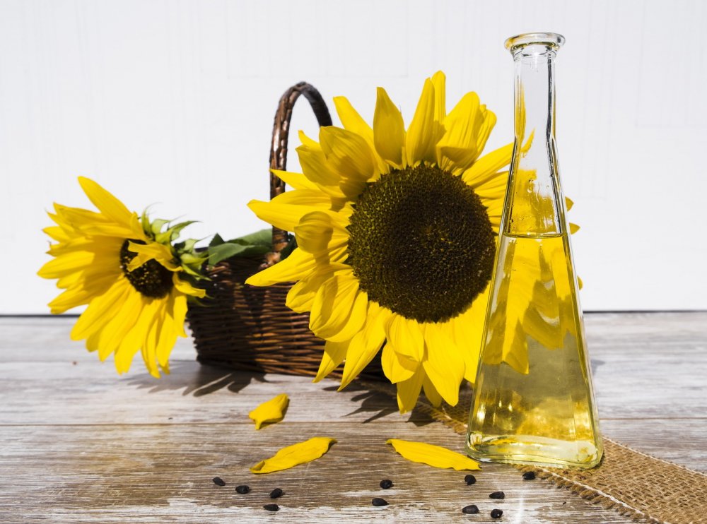 slunečnicový olej v kosmetice, slunečnicová semínka, slunečnice