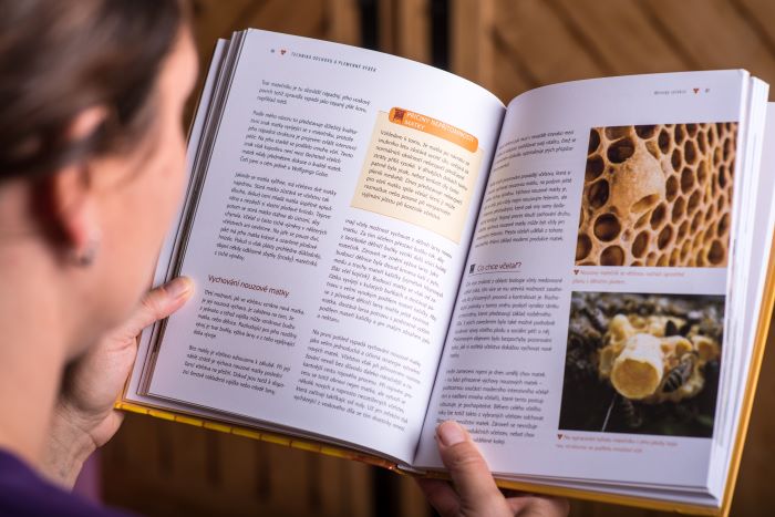 Kniha Včelaření vstřícné ke včelám, Günter Friedman
